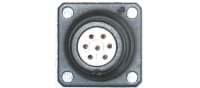 chassis w/out nut 17P female black