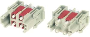 Han module SC 4v female 1mod.