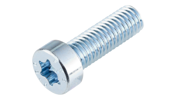 Laagcilinderschroef met torx staal verzinkt M 4 X 10